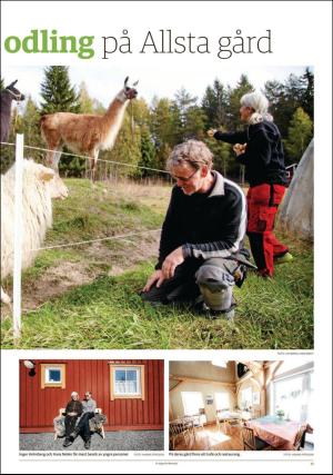 tidningenangermanland_d-20180614_000_00_00_031.pdf