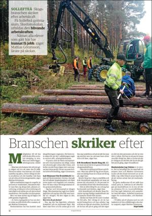 tidningenangermanland_d-20190213_000_00_00_010.pdf