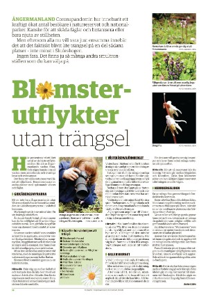 tidningenangermanland_d-20200612_000_00_00_016.pdf