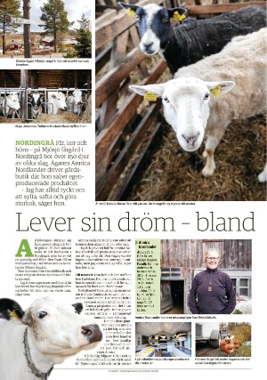tidningenangermanland_d-20200612_000_00_00_026.pdf