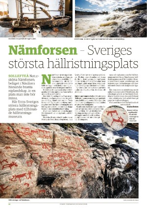tidningenangermanland_d-20200612_000_00_00_050.pdf