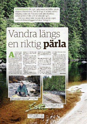 tidningenangermanland_d-20210618_000_00_00_048.pdf