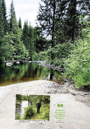 tidningenangermanland_d-20210618_000_00_00_049.pdf