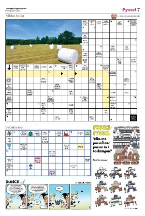 tidningenangermanland_d-20240602_000_00_00_007.pdf
