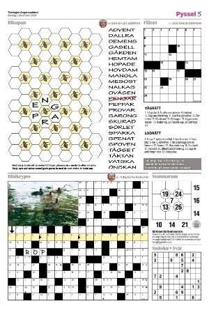 tidningenangermanland_d-20241201_000_00_00_005.pdf
