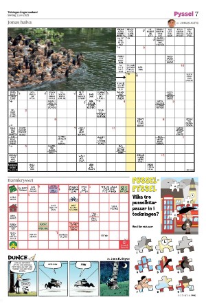 tidningenangermanland_d-20250601_000_00_00_007.pdf