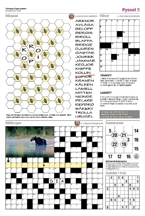 tidningenangermanland_d-20250720_000_00_00_005.pdf