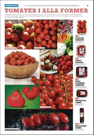 tidningenangermanland_k-20160224_000_00_00_005.pdf