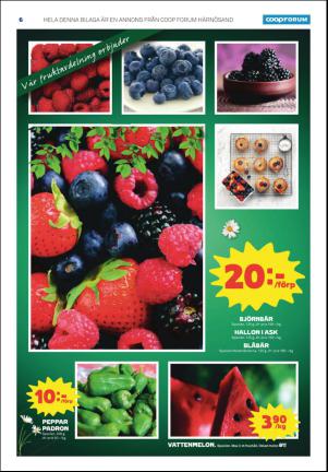 tidningenangermanland_k-20160621_000_00_00_006.pdf