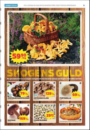 tidningenangermanland_k-20160928_000_00_00_005.pdf