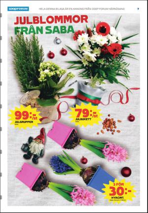 tidningenangermanland_k-20161220_000_00_00_007.pdf