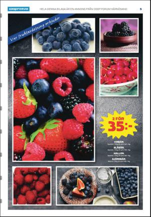 tidningenangermanland_k-20170323_000_00_00_005.pdf