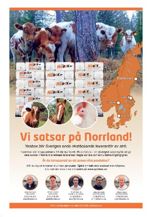 tidningenangermanland_k-20250823_000_00_00_015.pdf
