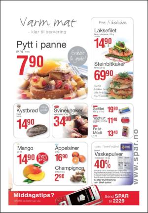 tonsbergsblad-20100119_000_00_00_013.pdf