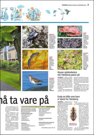 tonsbergsblad-20130306_000_00_00_003.pdf