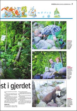 tonsbergsblad-20130608_000_00_00_003.pdf