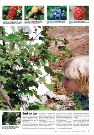 tonsbergsblad_bolig-20050811_000_00_00_005.pdf