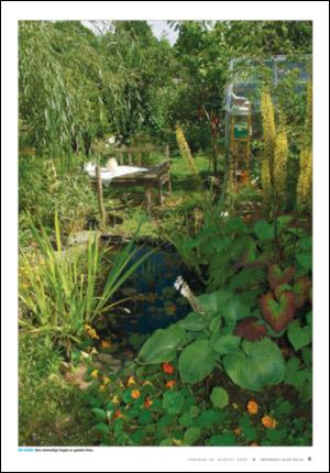 tonsbergsblad_bolig-20050818_000_00_00_009.pdf