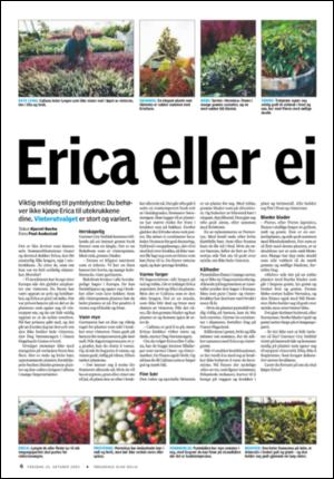 tonsbergsblad_bolig-20051020_000_00_00_006.pdf
