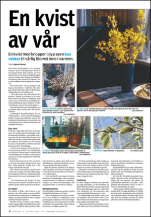 tonsbergsblad_bolig-20060119_000_00_00_004.pdf