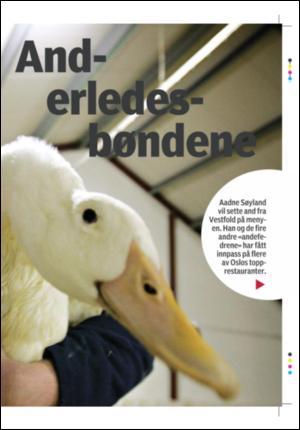 tonsbergsblad_bolig-20060310_000_00_00_003.pdf