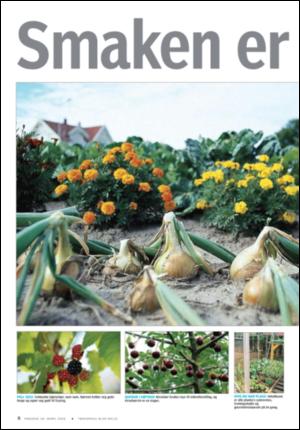 tonsbergsblad_bolig-20060330_000_00_00_004.pdf