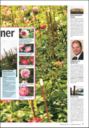 tonsbergsblad_bolig-20070705_000_00_00_007.pdf
