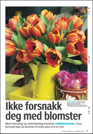 tonsbergsblad_bolig-20080207_000_00_00_003.pdf