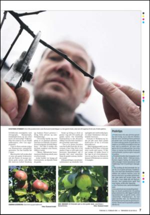 tonsbergsblad_bolig-20080221_000_00_00_007.pdf