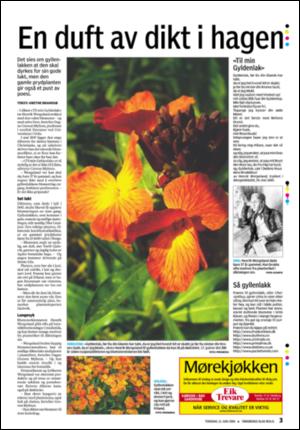 tonsbergsblad_bolig-20080612_000_00_00_003.pdf