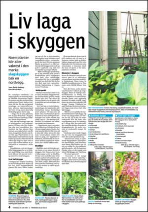 tonsbergsblad_bolig-20080619_000_00_00_004.pdf