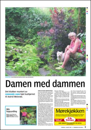 tonsbergsblad_bolig-20080807_000_00_00_003.pdf