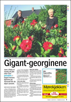 tonsbergsblad_bolig-20080814_000_00_00_003.pdf