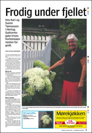 tonsbergsblad_bolig-20080828_000_00_00_003.pdf