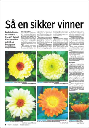 tonsbergsblad_bolig-20090129_000_00_00_006.pdf