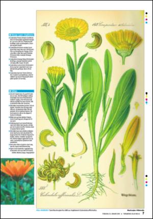 tonsbergsblad_bolig-20090129_000_00_00_007.pdf