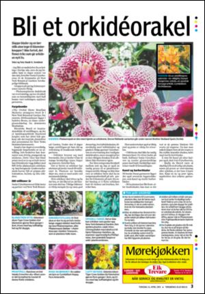 tonsbergsblad_bolig-20090416_000_00_00_003.pdf