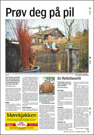 tonsbergsblad_bolig-20090430_000_00_00_003.pdf