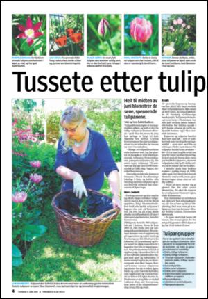 tonsbergsblad_bolig-20090604_000_00_00_004.pdf