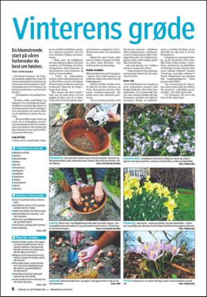 tonsbergsblad_bolig-20090910_000_00_00_006.pdf