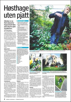 tonsbergsblad_bolig-20091008_000_00_00_004.pdf