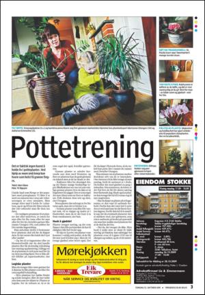 tonsbergsblad_bolig-20091022_000_00_00_003.pdf