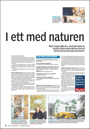 tonsbergsblad_bolig-20100217_000_00_00_006.pdf