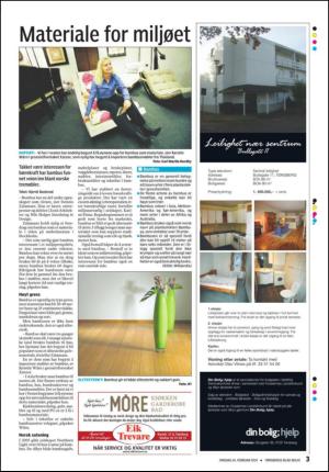 tonsbergsblad_bolig-20100224_000_00_00_003.pdf