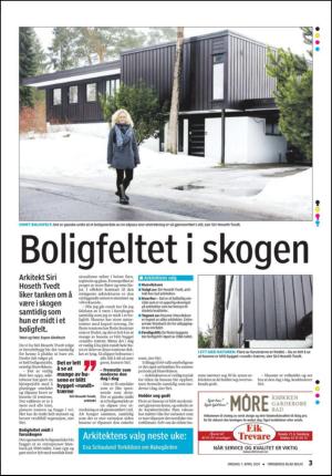 tonsbergsblad_bolig-20100407_000_00_00_003.pdf