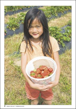 tonsbergsblad_bolig-20100428_000_00_00_008.pdf