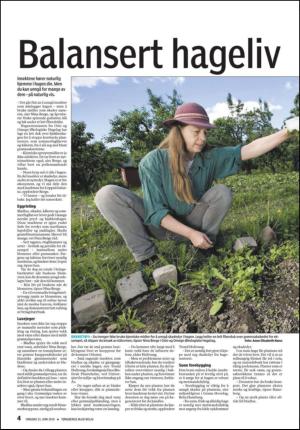 tonsbergsblad_bolig-20100623_000_00_00_004.pdf