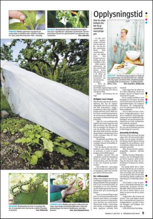 tonsbergsblad_bolig-20100623_000_00_00_005.pdf