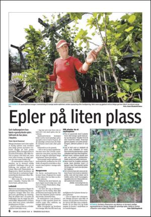 tonsbergsblad_bolig-20100818_000_00_00_006.pdf