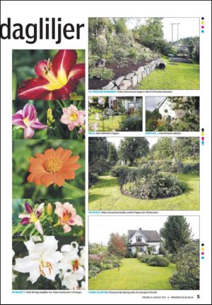 tonsbergsblad_bolig-20100825_000_00_00_005.pdf